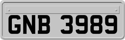 GNB3989