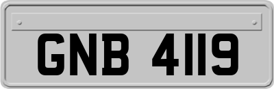 GNB4119