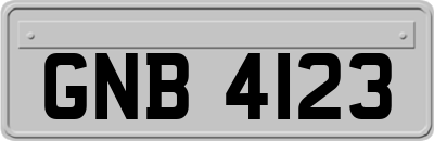 GNB4123