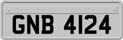 GNB4124