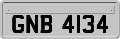 GNB4134