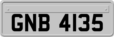 GNB4135