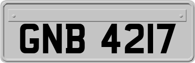 GNB4217