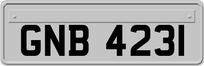 GNB4231