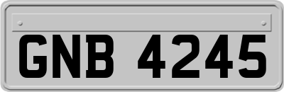 GNB4245