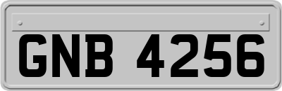GNB4256