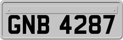 GNB4287