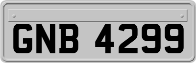 GNB4299
