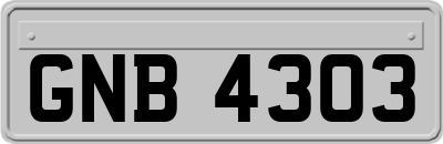 GNB4303