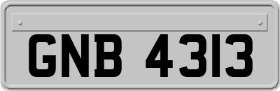 GNB4313