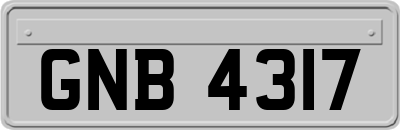 GNB4317