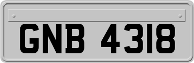 GNB4318