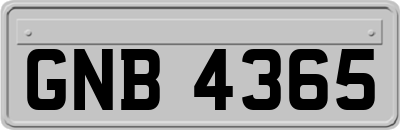 GNB4365