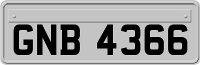 GNB4366