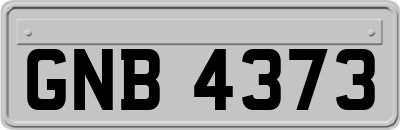 GNB4373