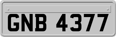 GNB4377