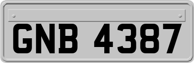 GNB4387