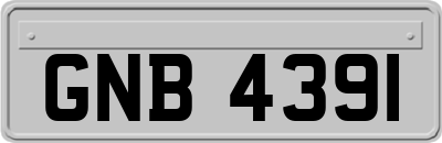 GNB4391