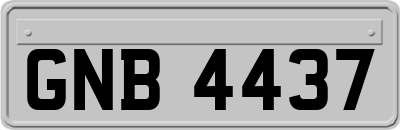 GNB4437