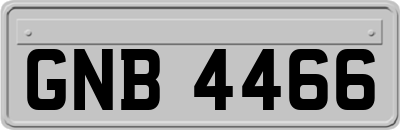 GNB4466