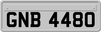 GNB4480