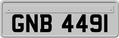 GNB4491