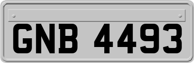 GNB4493