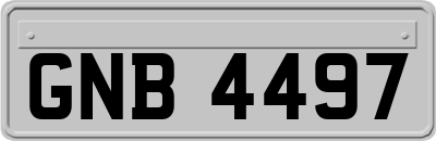 GNB4497