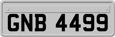 GNB4499