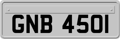 GNB4501