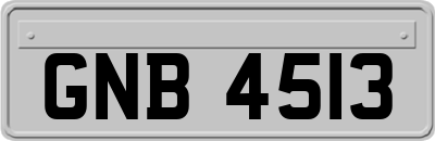 GNB4513