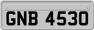 GNB4530