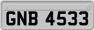 GNB4533