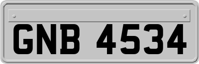 GNB4534