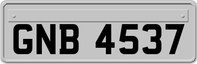 GNB4537