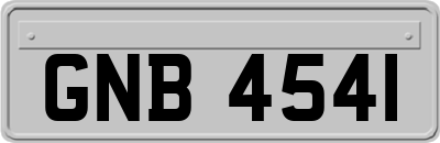 GNB4541