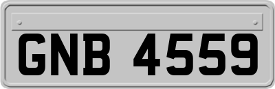 GNB4559