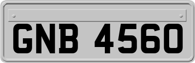 GNB4560