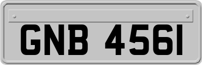 GNB4561
