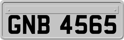 GNB4565