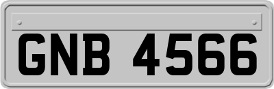 GNB4566