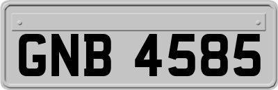 GNB4585