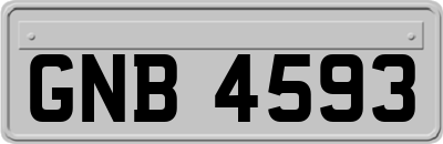 GNB4593