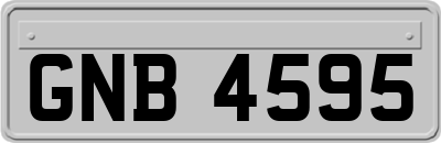 GNB4595