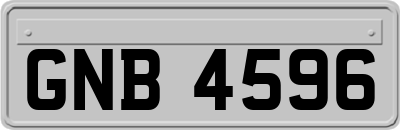 GNB4596