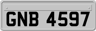 GNB4597