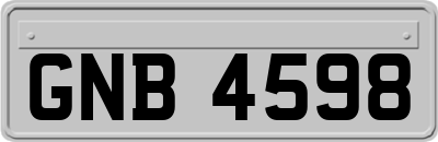 GNB4598