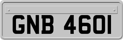 GNB4601