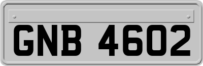 GNB4602