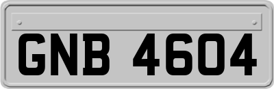 GNB4604